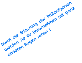 Durch die Erfassung der Prfaufgaben werden Sie Ihr Unternehmen mit ganz anderen Augen sehen !